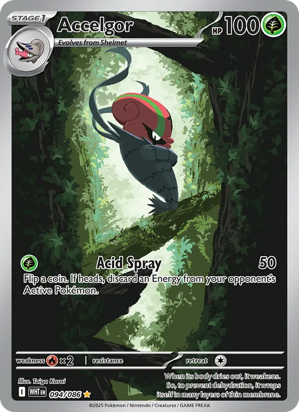 Accelgor, White Flare 094/086