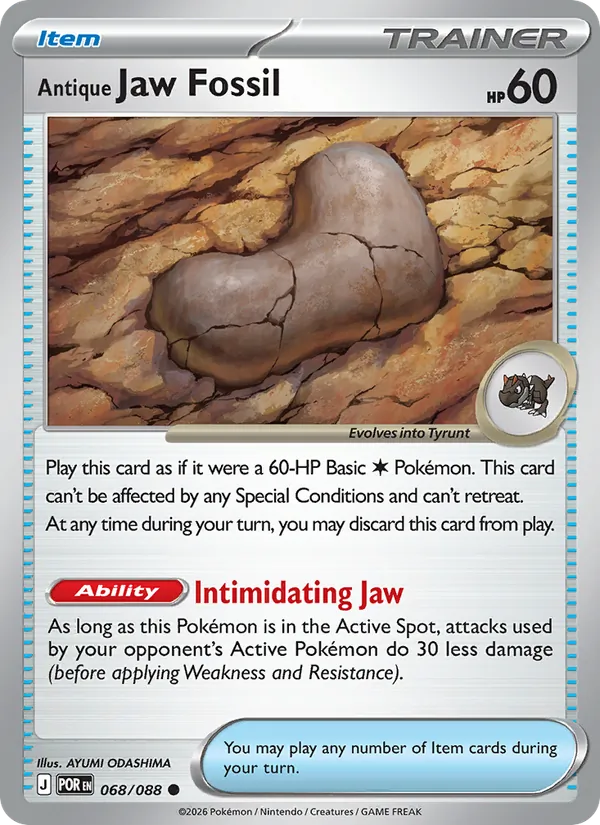 Antique Jaw Fossil, Perfect Order 068/088