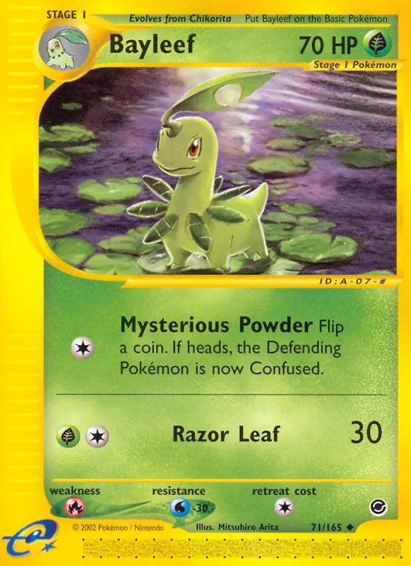Bayleef, Expedition Base Set 071/165