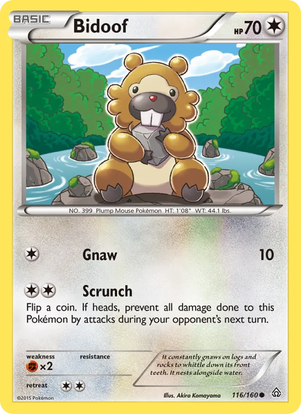 Bidoof, Primal Clash 116/160