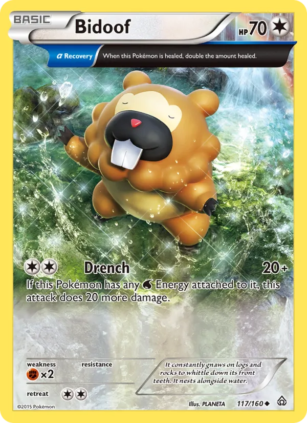 Bidoof, Primal Clash 117/160