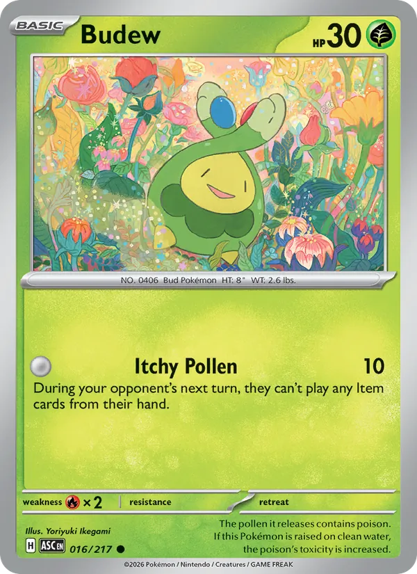 Budew, Ascended Heroes 016/217
