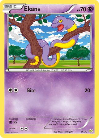 Ekans, XY trainer Kit (Noivern) 016/030