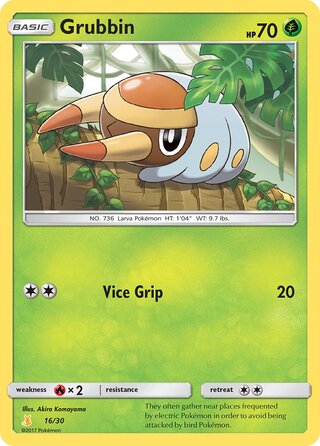 Grubbin, SM trainer Kit (Alolan Raichu) 016/030