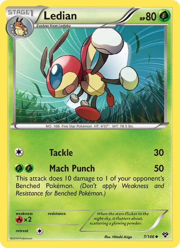 Ledian, XY 007/146