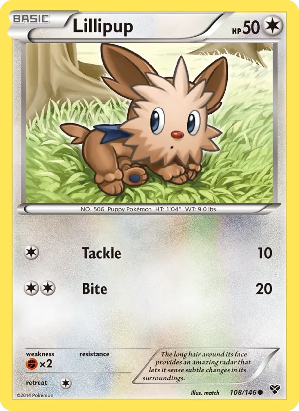 Lillipup, XY 108/146