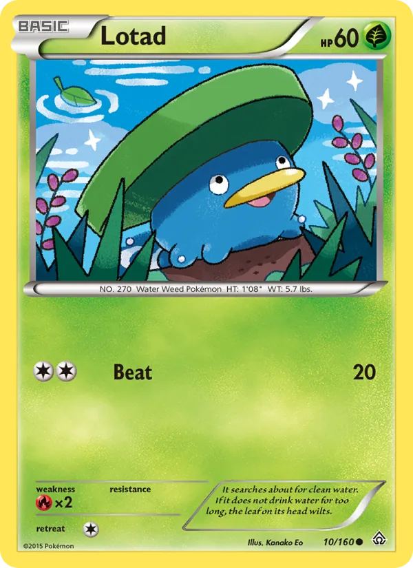Lotad, Primal Clash 010/160