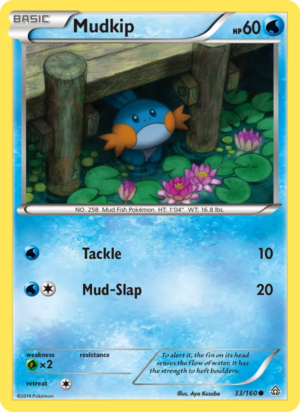 Mudkip, Primal Clash 033/160