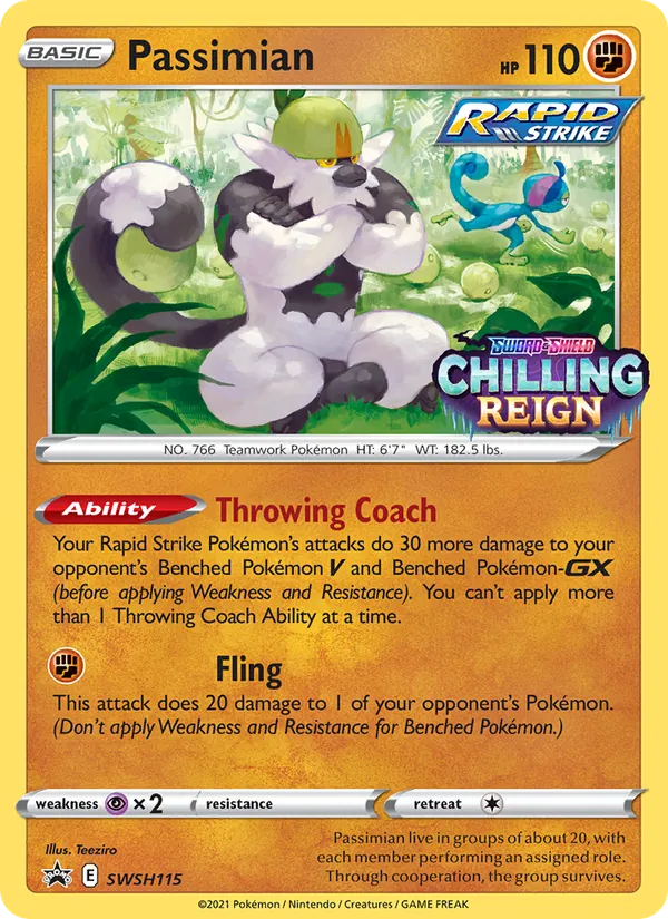 Passimian, SWSH Black Star Promos SWSH115/307