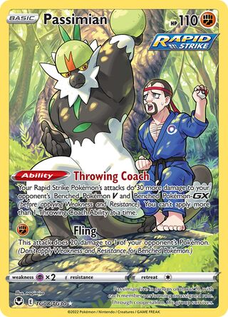 Passimian, Silver Tempest Trainer Gallery TG08/30