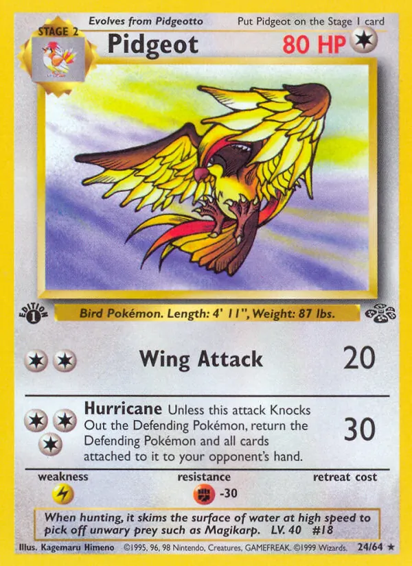 Pidgeot, Jungle 024/064