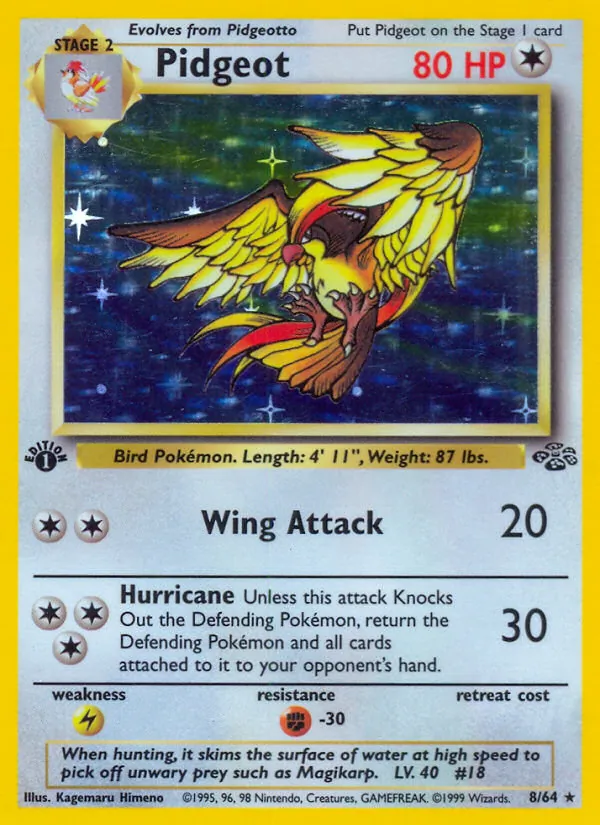 Pidgeot, Jungle 008/064