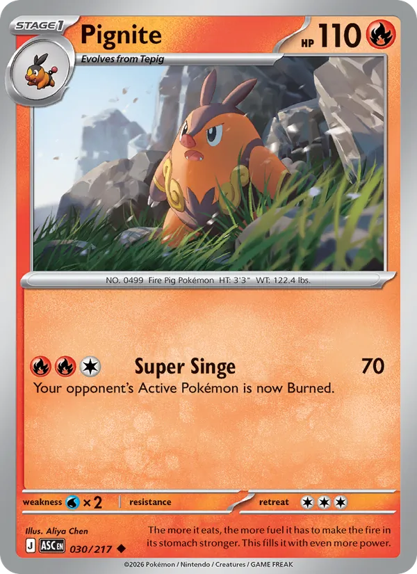 Pignite, Ascended Heroes 030/217