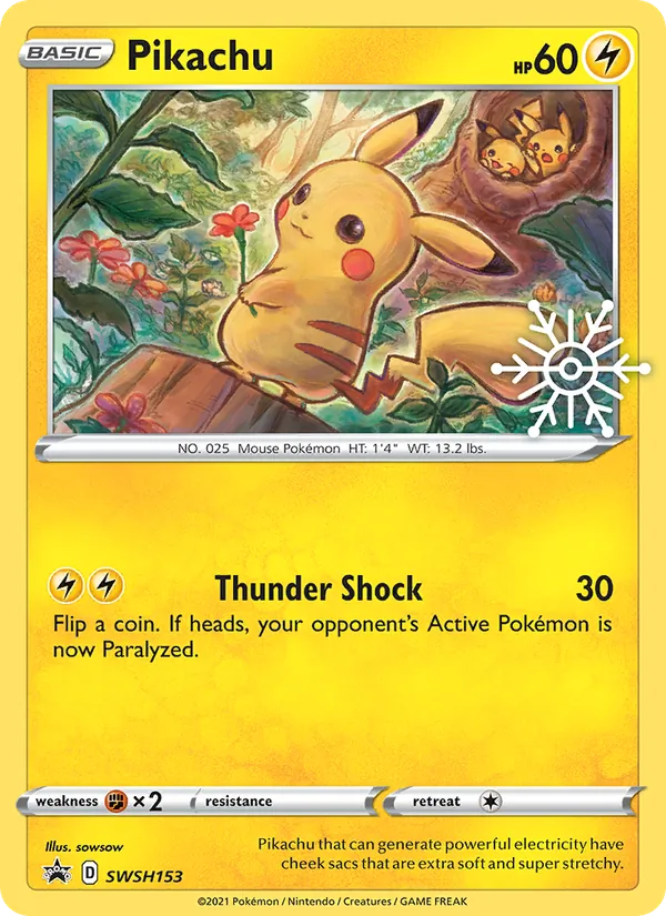 Pikachu, SWSH Black Star Promos SWSH153/307
