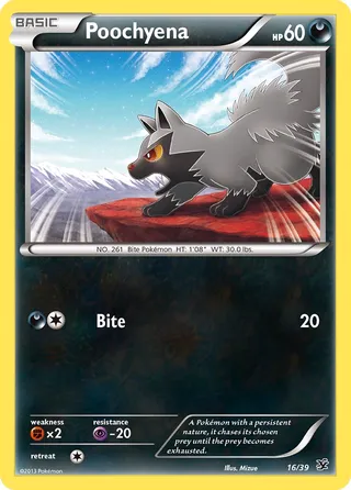 Poochyena, Kalos Starter Set 016/039