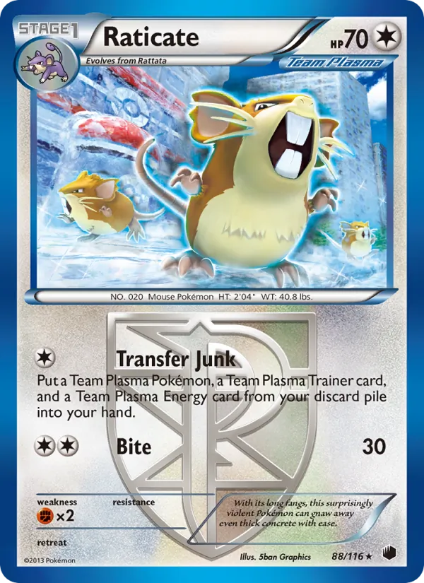 Raticate, Plasma Freeze 088/116