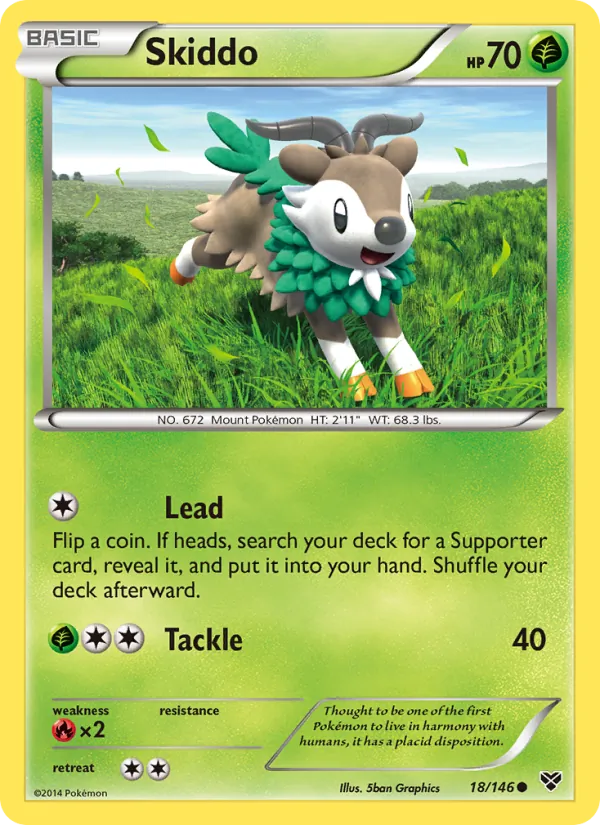Skiddo, XY 018/146