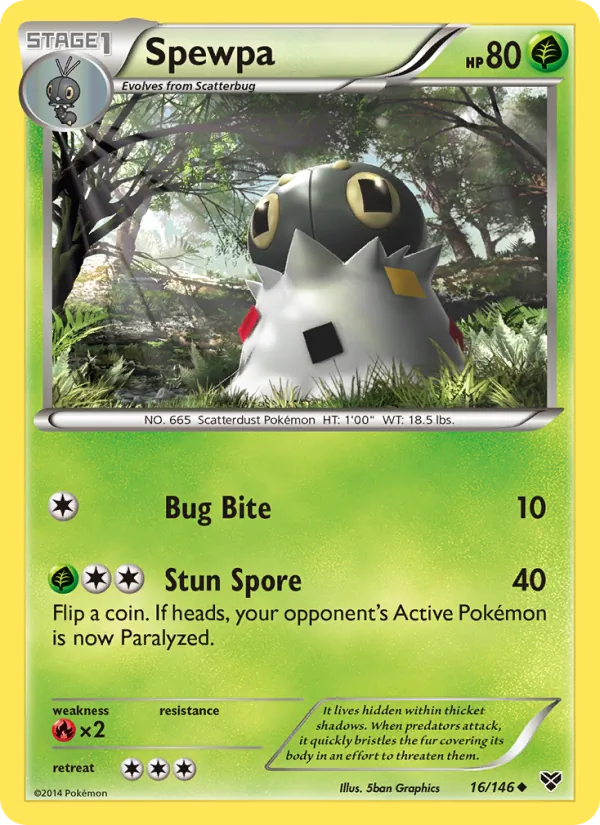 Spewpa, XY 016/146