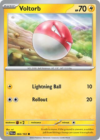 Voltorb, Battle Academy 2024 (Pikachu) 066/193