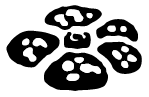 Jungle: symbol