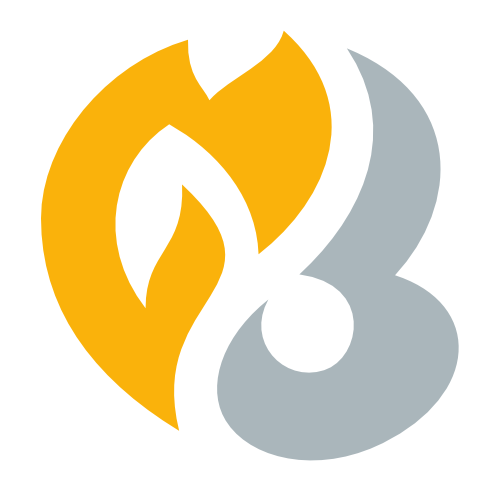 HeartGold & SoulSilver: symbol